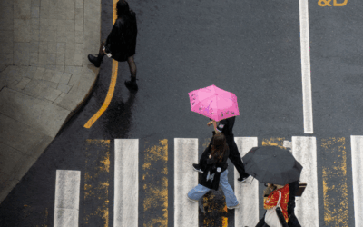 Understanding Your Rights as a Pedestrian